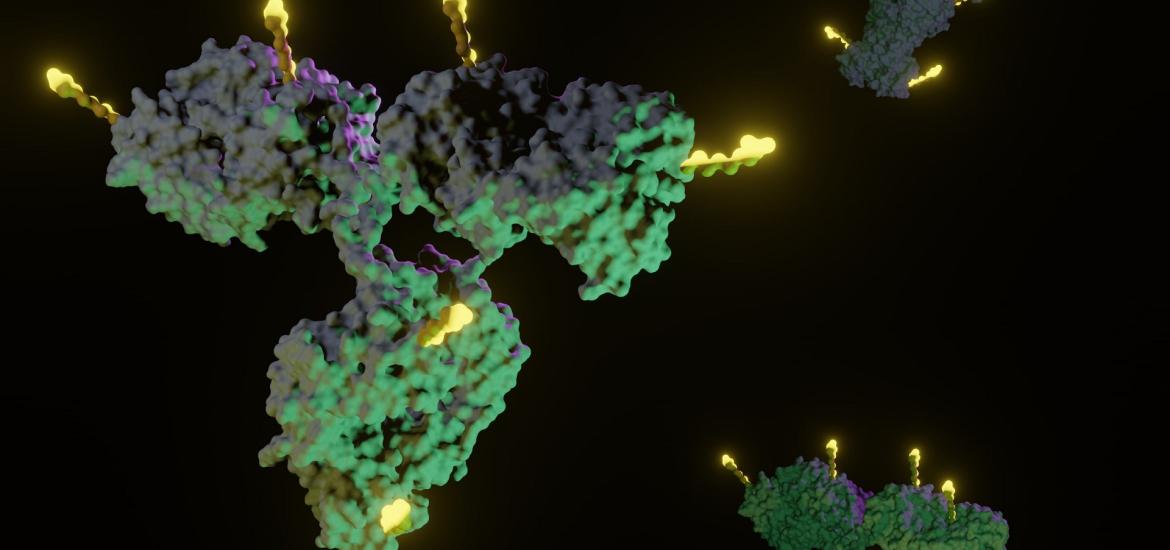 Antibody-drug conjugates