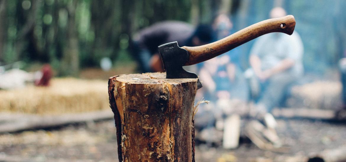 Axe in tree stump in woods