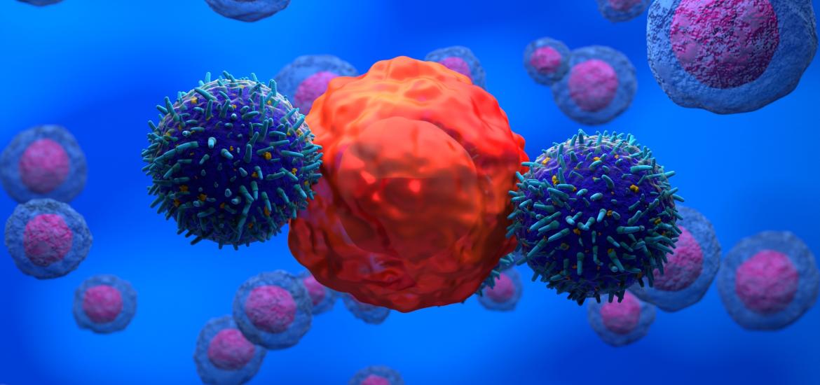 Car-T cells attacking cancer cell