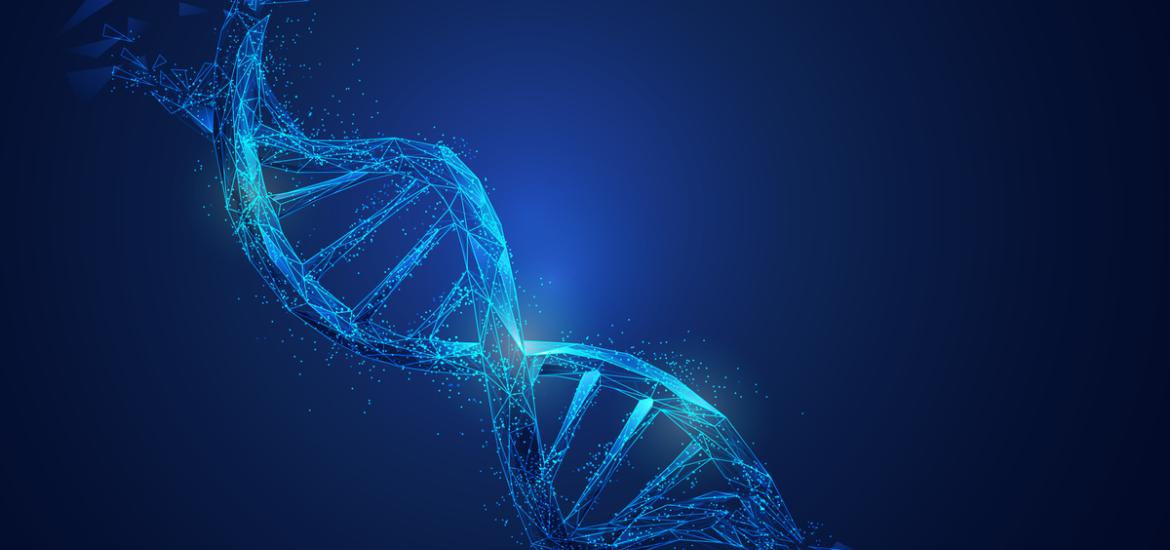 Blue double strand of DNA