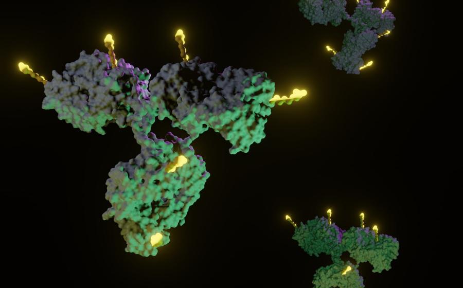 Antibody-drug conjugates