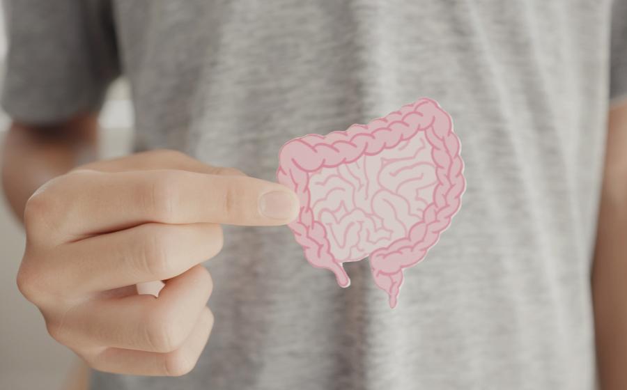 Hand holding cut out of intestine