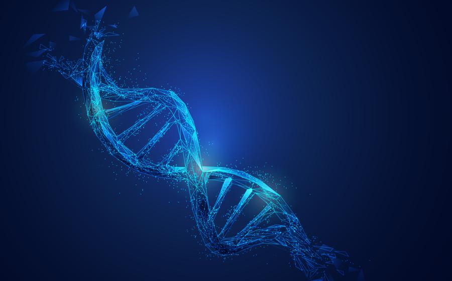 Blue double strand of DNA